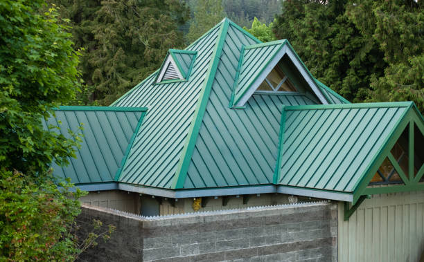 Best Gutter Installation and Repair  in Park City, TN