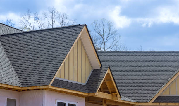 Best Roof Maintenance and Cleaning  in Park City, TN
