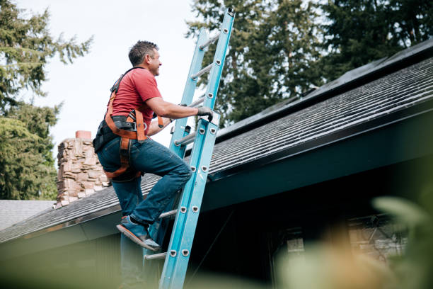 Best Green or Eco-Friendly Roofing Solutions  in Park City, TN