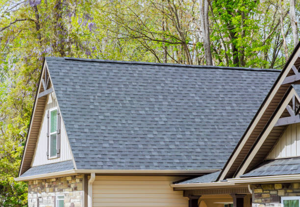 Best Steel Roofing  in Park City, TN