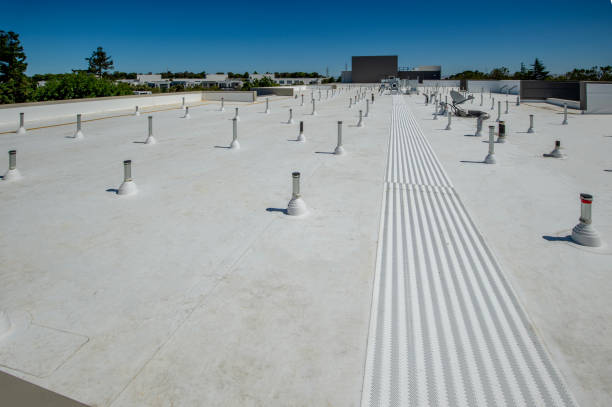 Best Roof Insulation Installation  in Park City, TN